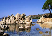 雷火电竞平台-当紫金军团遇上日耳曼战车：一场改写体育商业版图的跨界烽烟