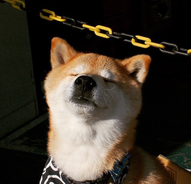 心脏如泵，时钟如刀，恩佐末节奇袭，波兰压哨保住奥运火种