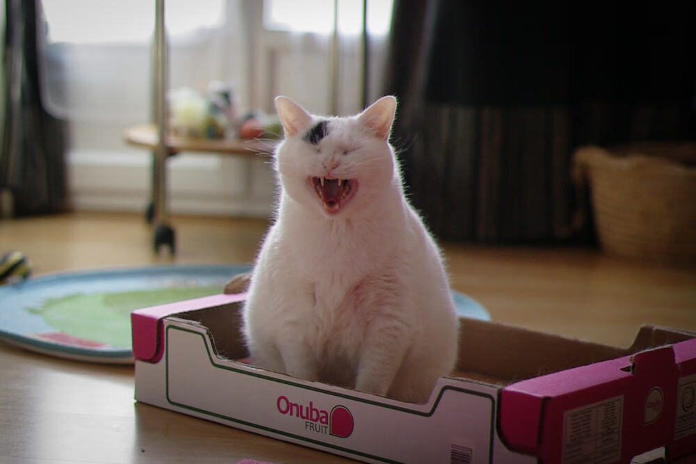 雷火电竞亚洲先驱-沙漏的最后一粒沙，当摩纳哥的蓝遇上埃及的沙