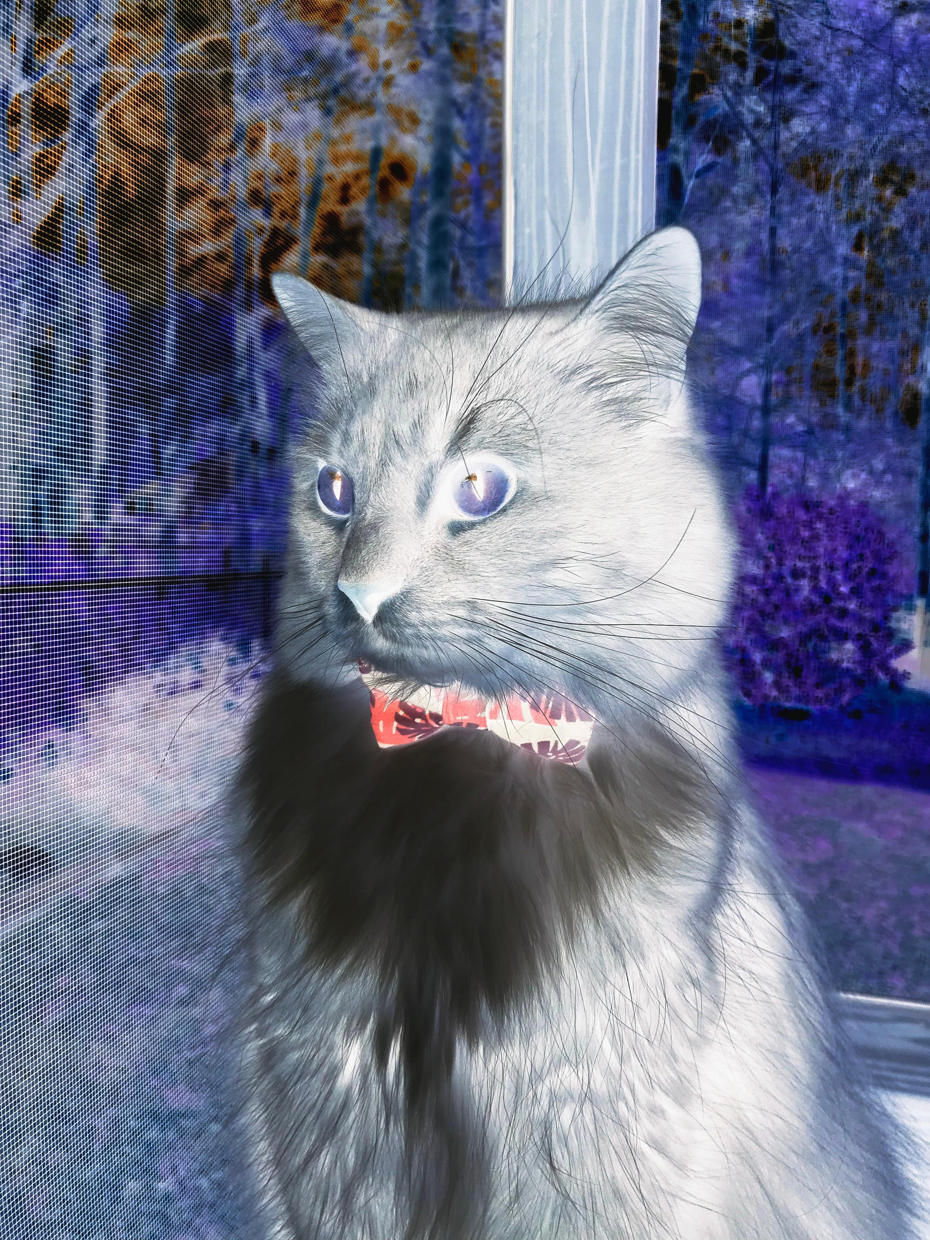 雷火电竞亚洲先驱-定义年度焦点之夜的，不一定是战役，而是那个掌控战役的人