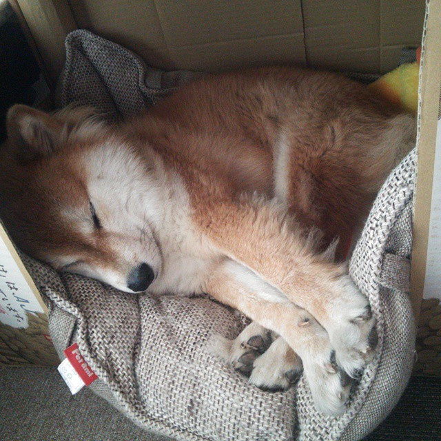 东方逆袭，孔德，那个在总决赛让亚特兰大翻盘日本的幽灵