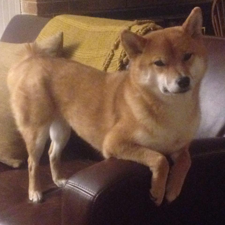 欧冠决赛之夜，凯恩关键进球定乾坤