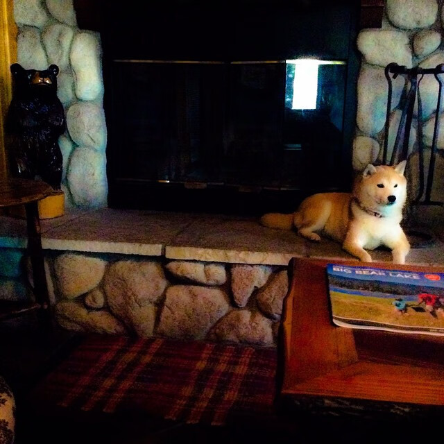 致命斜线，当无解巴雷拉遇见末节幽灵