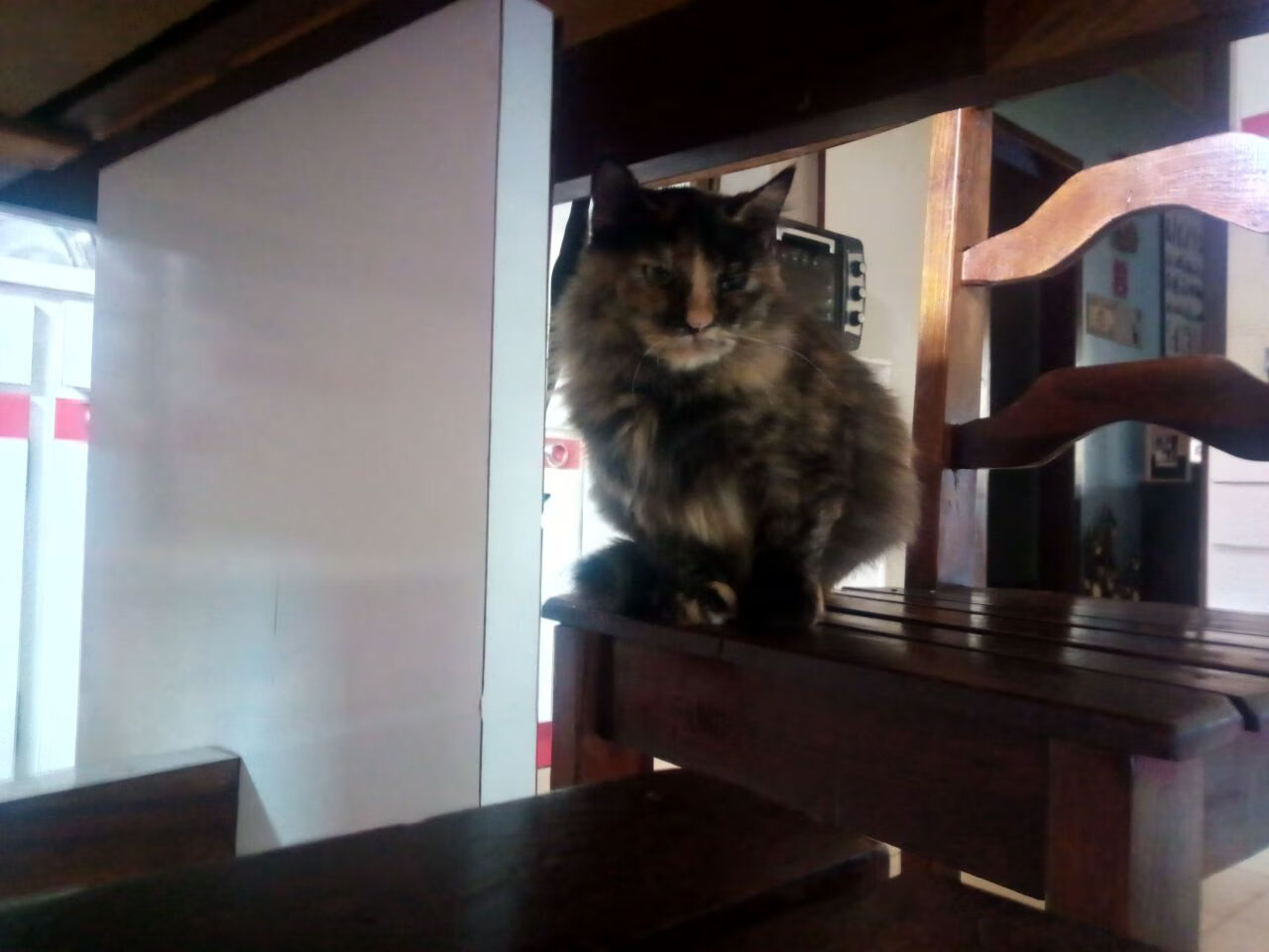 雷火电竞官网-跨界王者，格纳布里引领摩洛哥足球胜利，再演篮球抢七神话