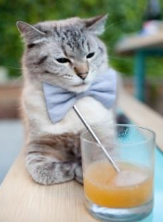 雷火电竞主播-锁链与闪电，当曼城的防守哲学在世界杯上浇灌出亚平宁的致命一击