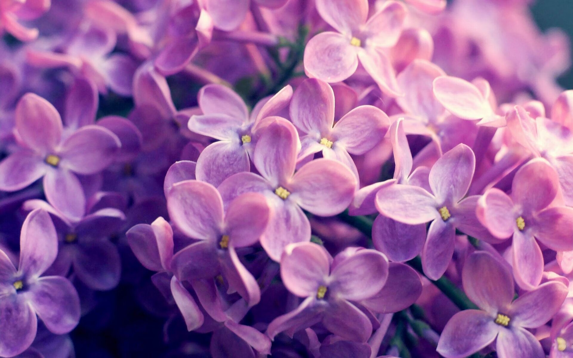 雷火电竞app-绝境觉醒，霍勒迪的救赎三分，点亮勇士的冠军希望