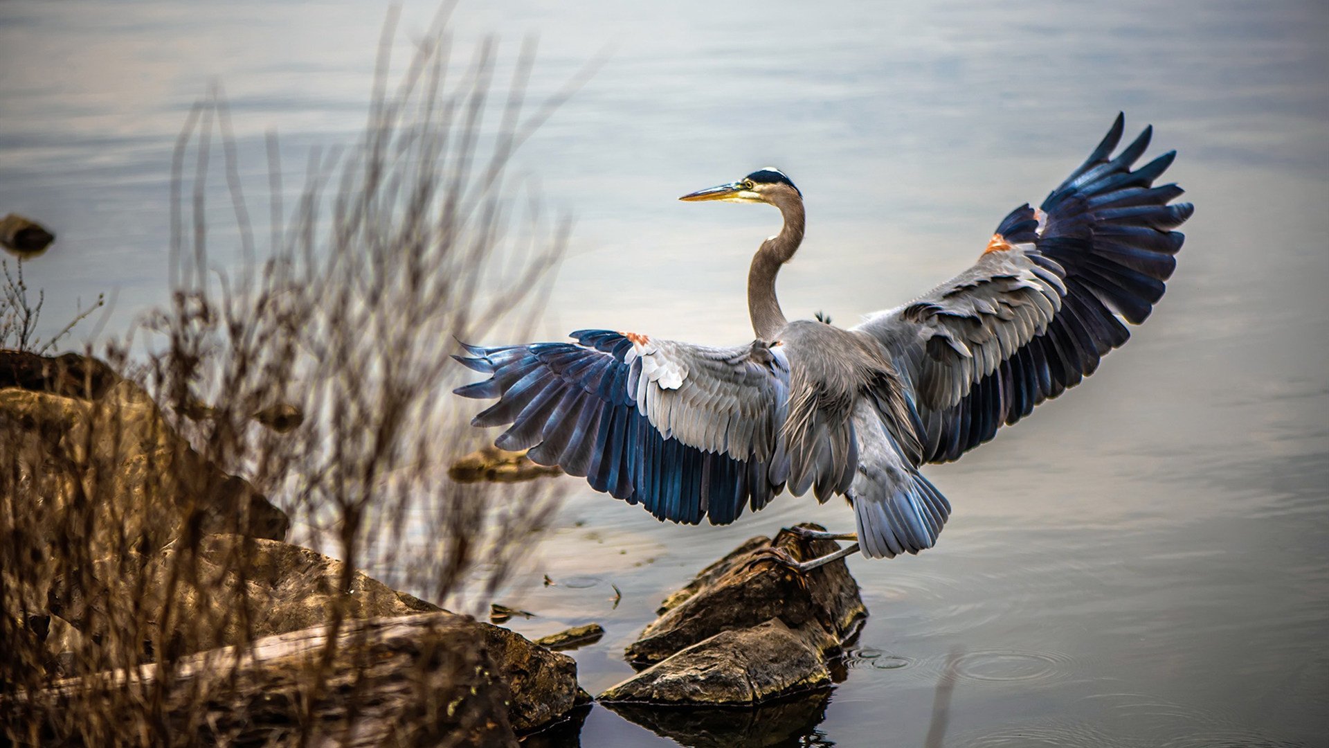 跨洋对决！新疆队强压NBA快船，克莱汤普森上演压制级三分雨