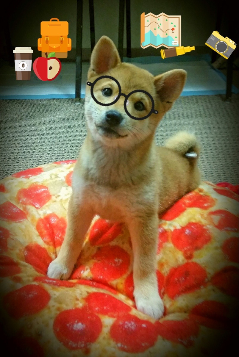 雷火电竞-锋刃出鞘，欧冠半决赛之夜，巴斯托尼的两次闪击如何定义赛季