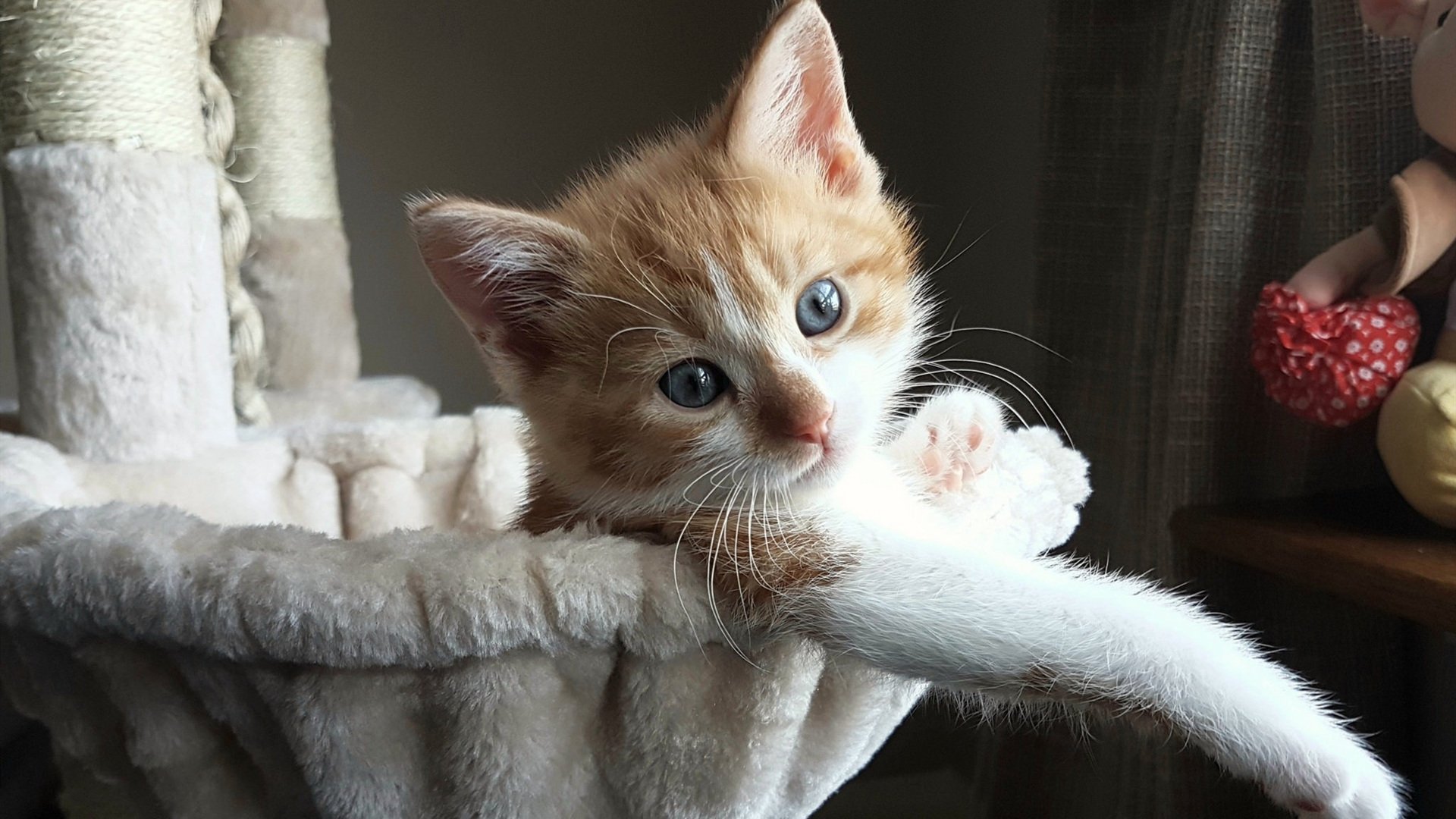 雷火电竞入驻-新疆飞虎强压底特律活塞的背后，是浓眉在2026世界杯接管比赛的序章