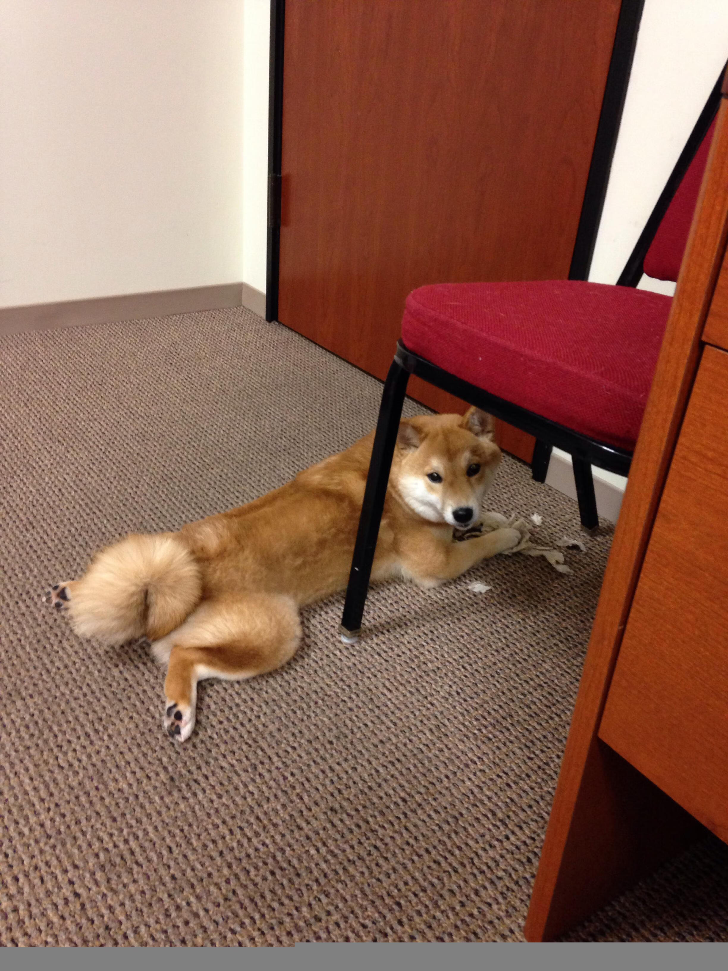 骑士的黄昏与破晓，浓眉的时间裂缝