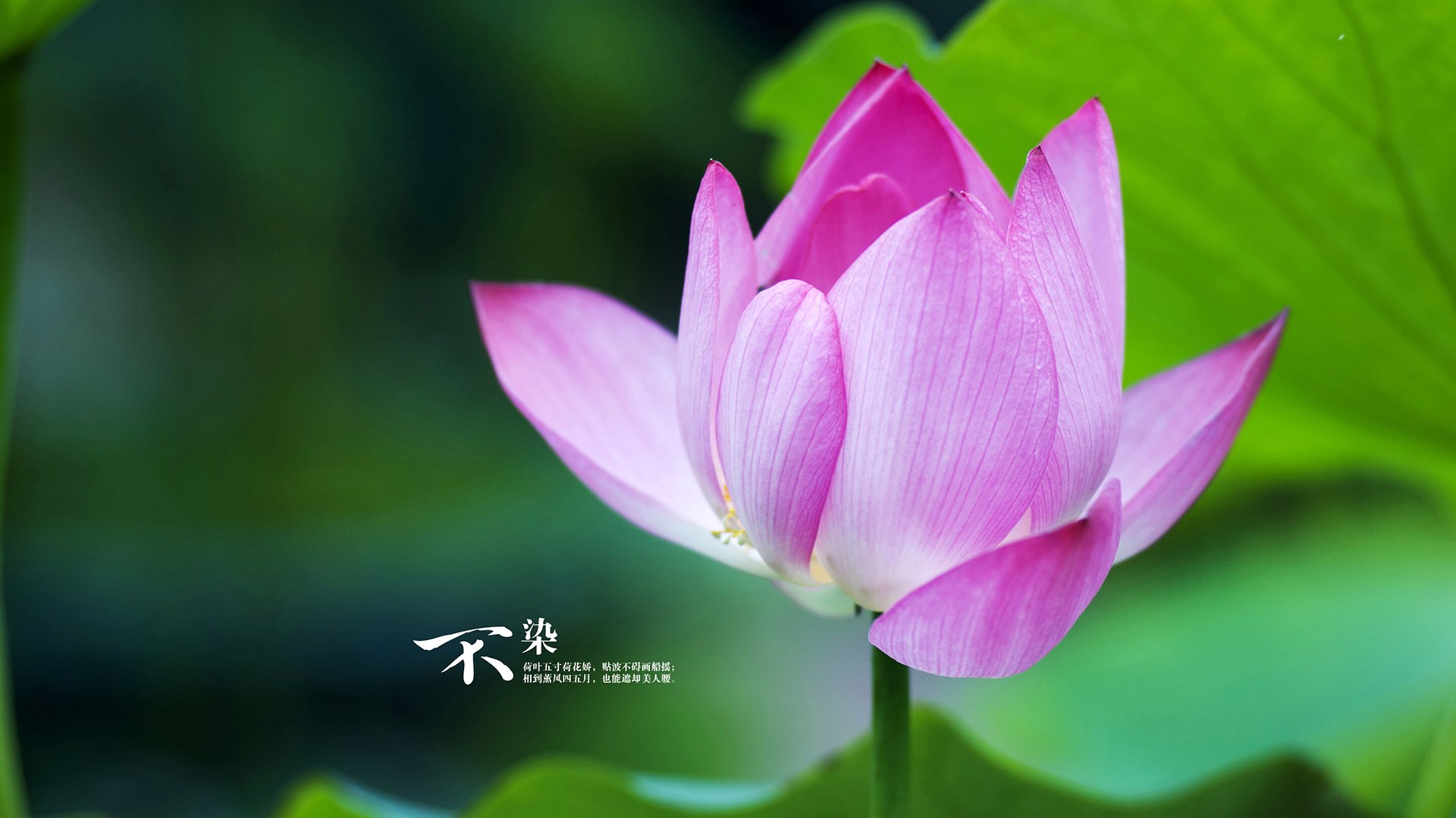 雷火电竞充值-逆转莱茵河，2026世界杯生死战，福登压哨绝杀书写唯一传奇